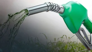 Empresas del biodiesel proponen cambios al plan oficial para resguardar 10.000 empleos