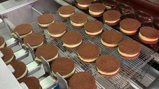 Es el primer alfajor vegano de la Argentina y vende 170 unidades cada 60 minutos