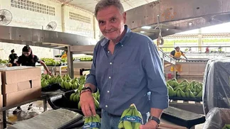 Es el rey del negocio de la banana argentina y alerta que la producción puede colapsar