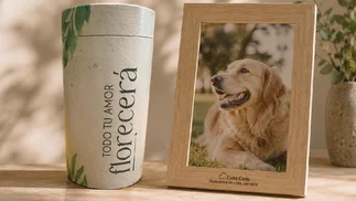 Cuánto cuesta un servicio fúnebres de mascotas con cremación, velorio y coach psicológico
