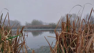 Denuncian que la Provincia recortó un 30% de la Reserva Laguna de Rocha en el Presupuesto