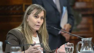 La pista de una senadora peronista que revelaría el rol de Massa en la Ley de Tierras