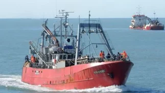 Un buque descartó toneladas de merluza y expuso la falta de controles en el Mar Argentino