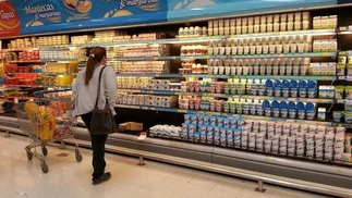 Cómo saber si comprás leche, yogur, queso o sus versiones alternativas rebajadas