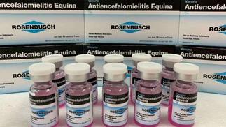 Nuevo dueño del laboratorio Rosenbusch activa saneamiento millonario