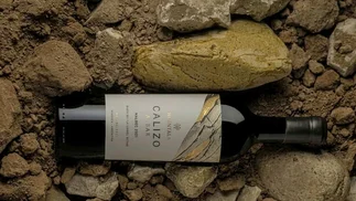 Cuánto sale el vino argentino elegido el mejor tinto del mundo