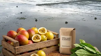 Cómo impacta el Súper Niño en yerba, tabaco, frutas y verduras