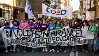 Financiamiento universitario: la Justicia revisará la cautelar