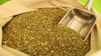 Frenan artículos del DNU que impedía fijar precios al Instituto Nacional de la Yerba Mate