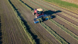 Ley de tierras: la derogación reactivó la venta de campos