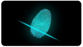 Ciberdelitos: reducir la huella digital para evitar virus y robos