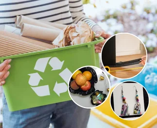Ecodiseño: crean productos de alto valor y bajo impacto ambiental