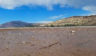 La basura acumulada en un dique formó una isla y las imágenes son reveladoras