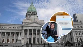 Ley Bases y Ambiente: Cómo impacta en los recursos naturales de Argentina