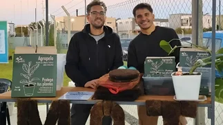 Con pelo: crean una solución sustentable para prevenir derrames de petróleo