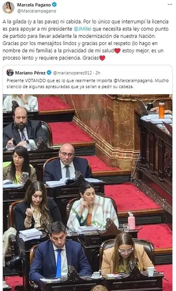 Tras la licencia, volvió la diputada Marcela Pagano