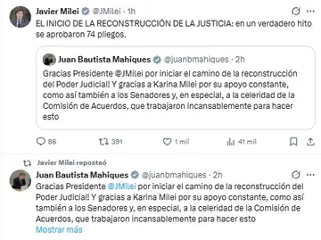 Milei festejó en las redes sociales la aprobación de 74 nuevos jueces