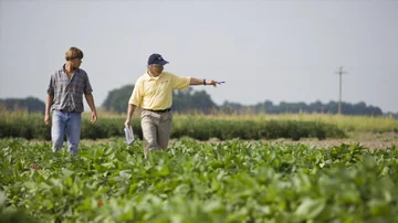 Banco Galicia otorga un préstamo con garantía de warrant a través de una agtech