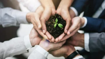 Huella de Carbono, el nuevo proyecto de Google Ads para concientizar a los anunciantes de la firma