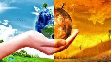 Anuncian la creación de la primera Bolsa Argentina de Carbono ¿De qué se trata la iniciativa?