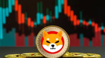 Shiba Inu, otra de las criptomonedas ganadoras del momento: ¿por qué se disparó un 1.000%?