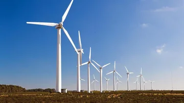 Día Mundial del Medio Ambiente: la digitalización como herramienta clave para la sustentabilidad empresarial