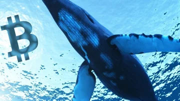 Se reactiva una ballena BTC y alcanza los u$s60 millones