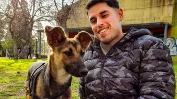 MyPets: así es la app para encontrar mascotas perdidas que es furor y busca llegar a otros países en 2024