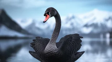 Inversiones 2025: estos son los cinco cisnes negros que podrían sacudir los mercados financieros este año