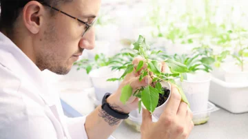 Emprendedores argentinos crean tecnología que jubila al glifosato: levantan u$s1,25 millones y van por más