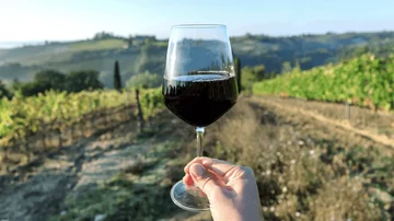 Bodega digital: conocé como funciona esta nueva forma de comprar y coleccionar vinos tokenizados