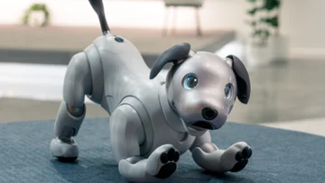 Una nueva oportunidad: Sony apuesta a la adopción de perros bots abandonados