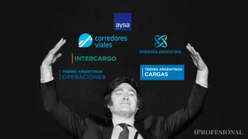 Javier Milei avanza con privatizaciones