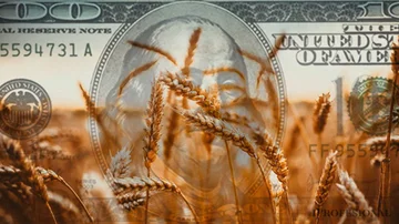 El campo, en crisis: por qué los gigantes del agro argentino están yendo a la quiebra