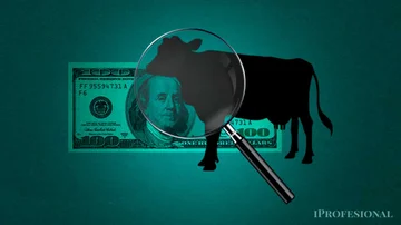 ¿Llegará carne y pollo de EE.UU.?: qué dice el acuerdo comercial sobre la importación de alimentos