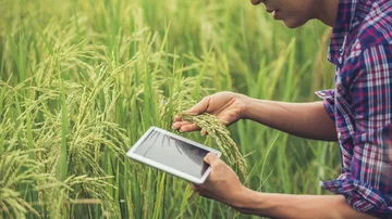 Invertir en campos desde u$s50: Landtoken abre el acceso al agro para todos los inversores
