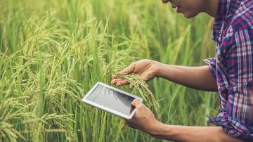 Invertir en campos desde u$s50: Landtoken abre el acceso al agro para todos los inversores
