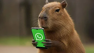Modo Capibara llega a WhatsApp, de que se trata esta moda que cambia el ícono de la app