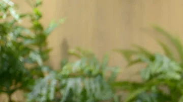 Creó una plataforma que enseña gratis los empleos del futuro: planea facturar u$s1,2 M en 2026