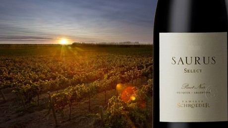 Mes del Pinot Noir: así lo celebra una bodega de Patagonia - Vimarsana News