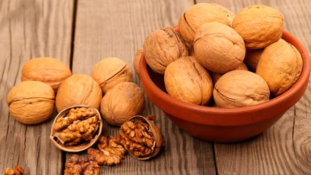 ¿Cuál es el ORIGEN del dicho MUCHO RUIDO Y POCAS NUECES?