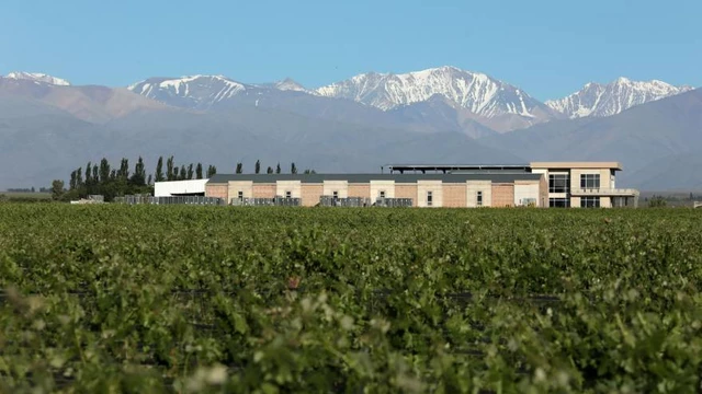 Esta bodega argentina es la mejor productora de vinos tintos del 2023, según un reconocido concurso
