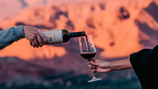 Los secretos de los Malbec del Norte Argentino: ¿por qué son vinos tan fascinantes?