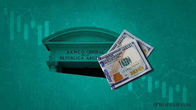 Por qué el Banco Central desaceleró la compra de dólares esta semana