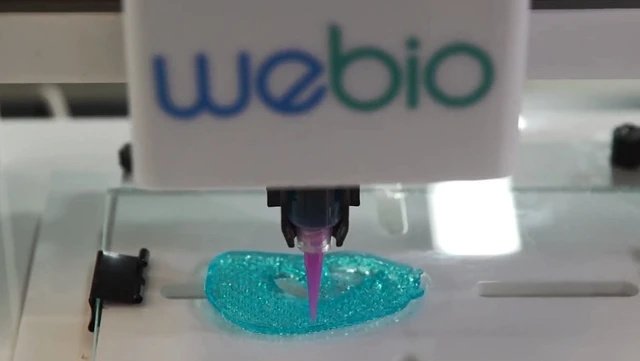 Video: Conocé WeBio, la startup que imprime biotejidos en 3D para cambiar la vida de las personas