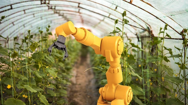 Más tecnología y menos tracción a sangre: por qué las "agtech" serán el motor del campo y la economía 2019