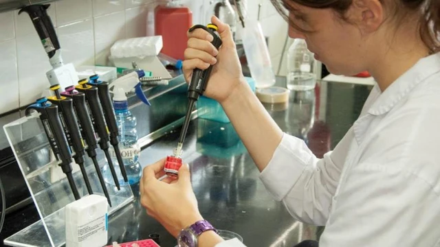Este emprendimiento argentino fue elegido como el mejor invento regional de los últimos cinco años