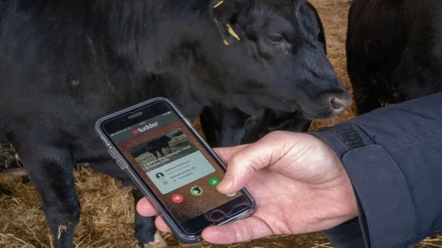 Las criptomonedas permiten convertirte en un productor agrícola sin salir de tu casa: los detalles