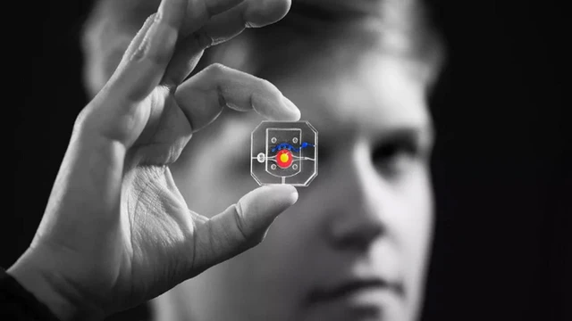 ¿Se vienen los superhumanos?: crean un ojo biónico que reacciona más rápido que el de una persona
