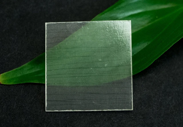 Material innovador: crean una madera transparente que promete revolucionar la arquitectura